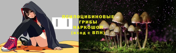 гидра Бабаево