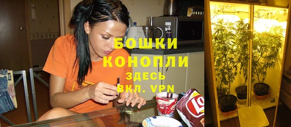 крисы Нефтегорск