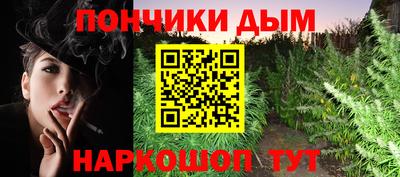 индика Гусиноозёрск