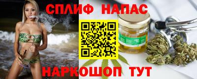 стаф Гусев
