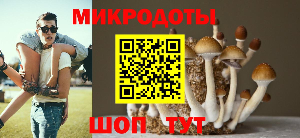 где найти   Галлюциногенные грибы Magic Shrooms  Советская Гавань  Галлюциногенные грибы прущие грибы 