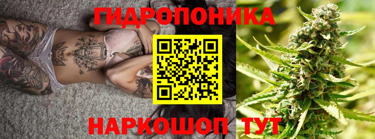 МАРИХУАНА SATIVA & INDICA  Советская Гавань  Каннабис индика 